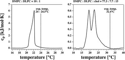 Non-linear Conductance, Rectification, and Mechanosensitive Channel Formation of Lipid Membranes